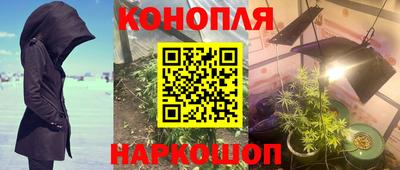 индика Краснознаменск