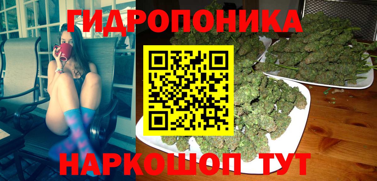 Камышлов  Шишки марихуана план  Конопля конопля  Канабис семена  Вход с VPN 